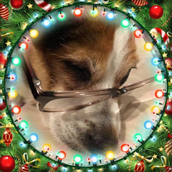 Meet your Posher, Leslie - Picture 1 of 1